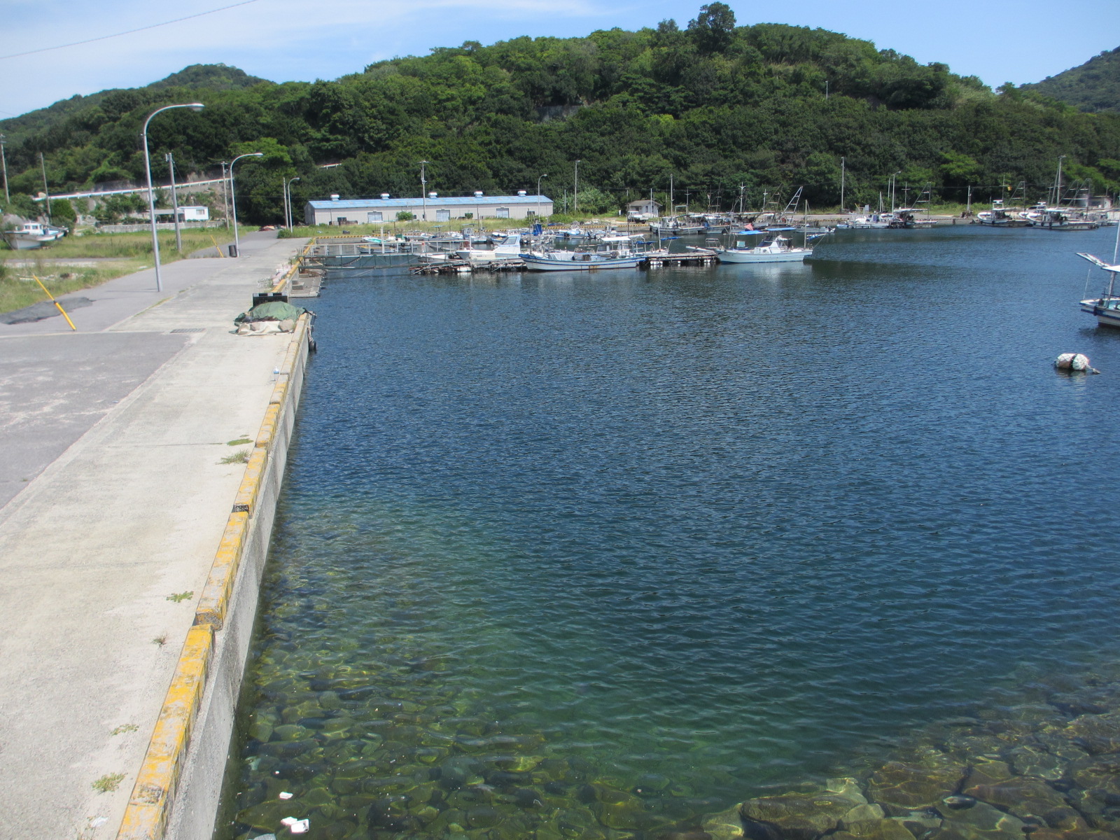 香川県,海釣り,ポイント,生里漁港